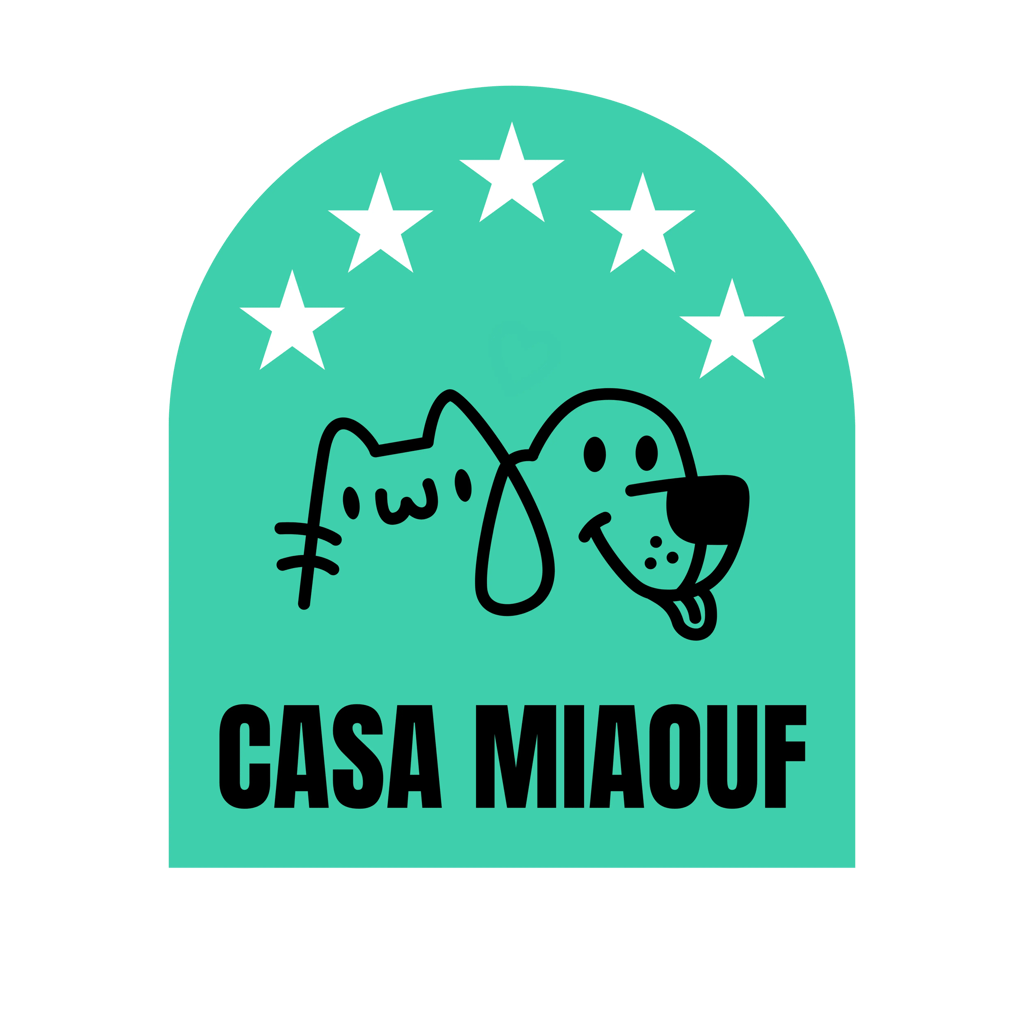 a cat and a dog are shown in this image