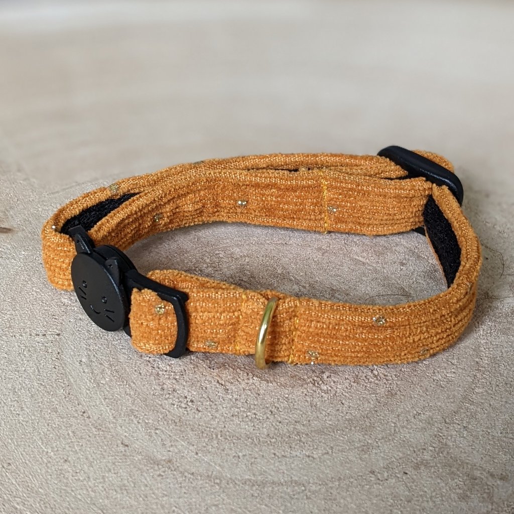 a cat collar