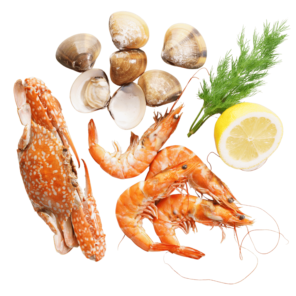 BDP+Partners, consulting, marketing, f&b, hospitality, Tokyo, Japan, Vietnam