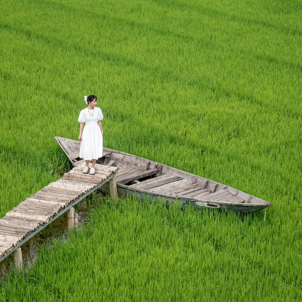 photo of a girl in white dress in a rice paddy field vietnam
