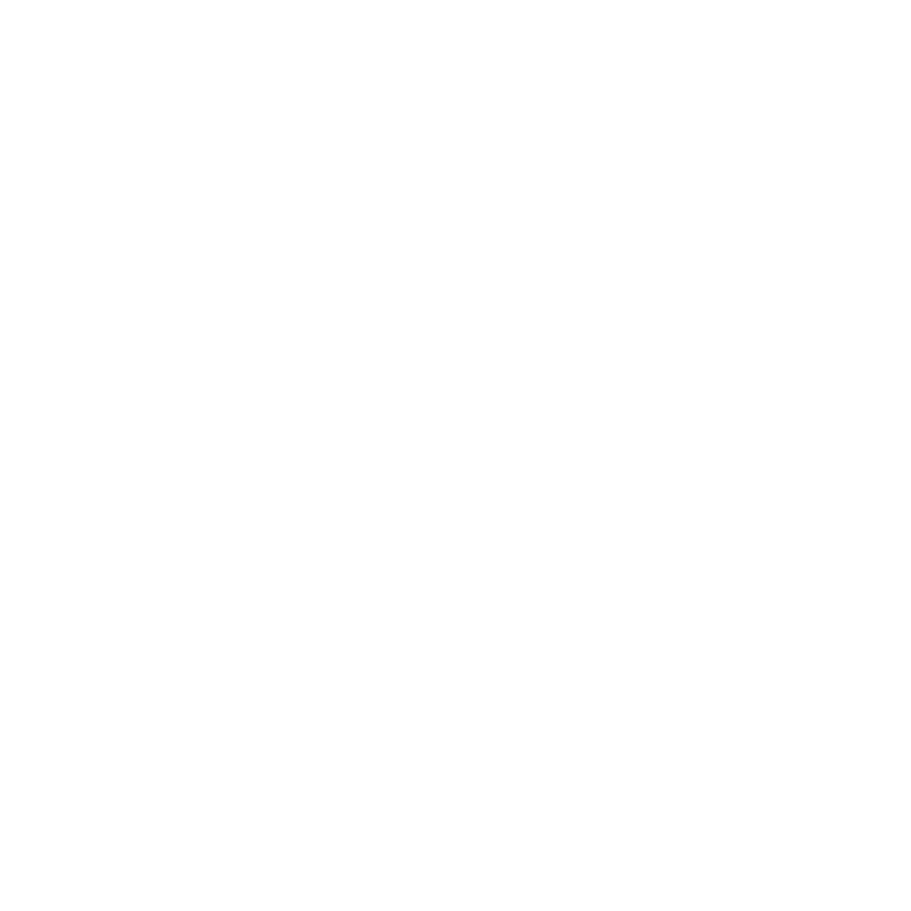 Logo PIHEX blanc sans fond