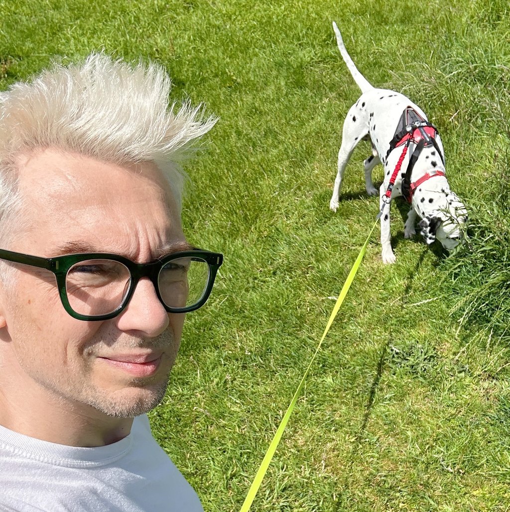 man looks into camer. dalmatian sniff in the back.