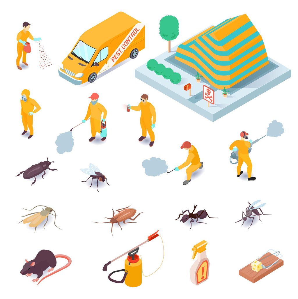 Pest Control Service near me
