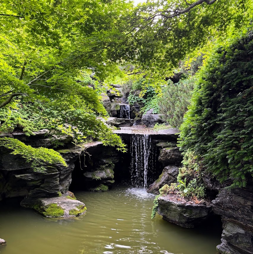 A peaceful waterfall cascades into a pond surrounded by lush greenery, helping one's mental health.