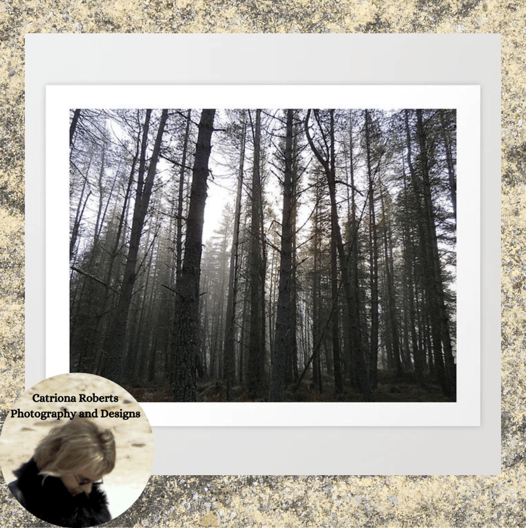 Digital image featuring Scottish Highland's Pine Forest Misty Scene in Afterglow Art Print