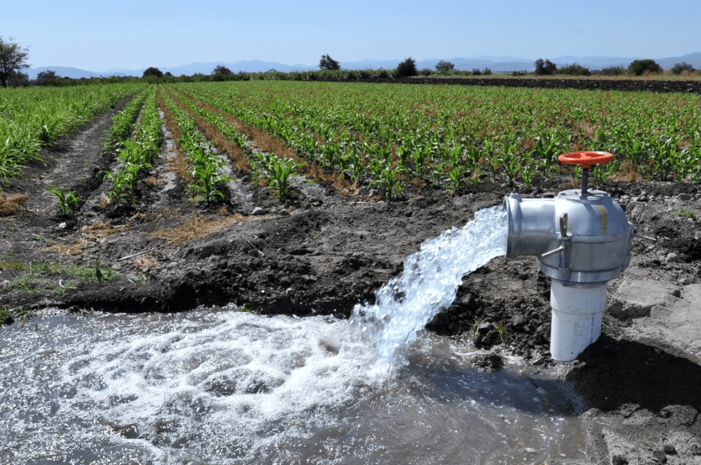 agricultura