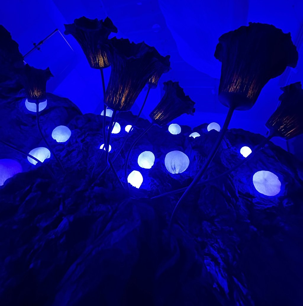 L'odyssée de Léa @16mag