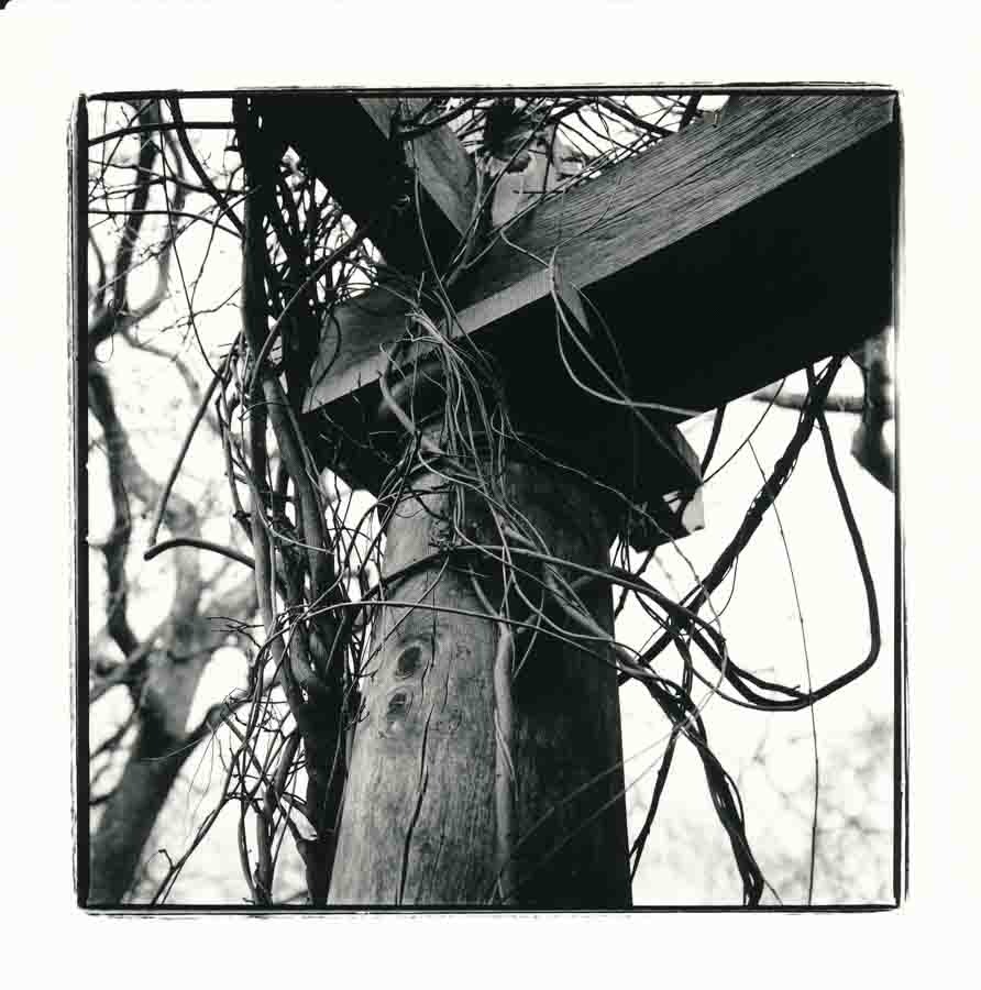 A wooden pilar in a garden in London