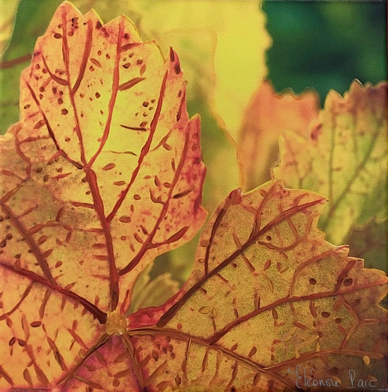 Photo peinte - Série Feuille de Vie FE 01 ©Eléonore Parc