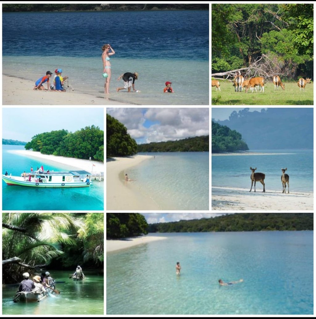 Ujung KUlon Tour 2d1n trip