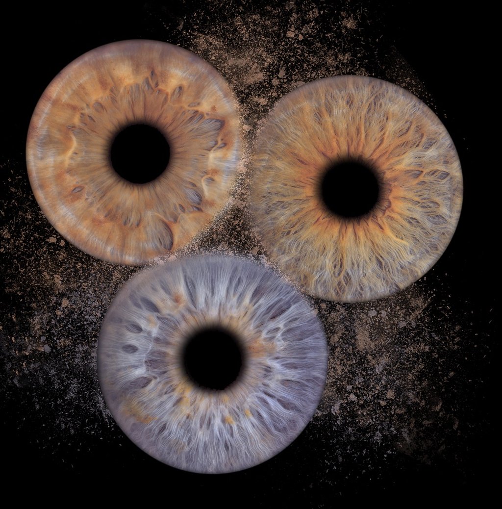 idée cadeau Bordeaux