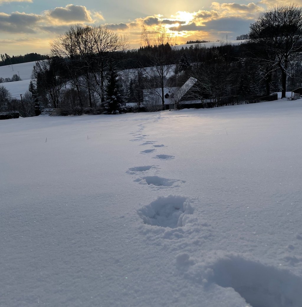 footprints prints of footprints in the snow