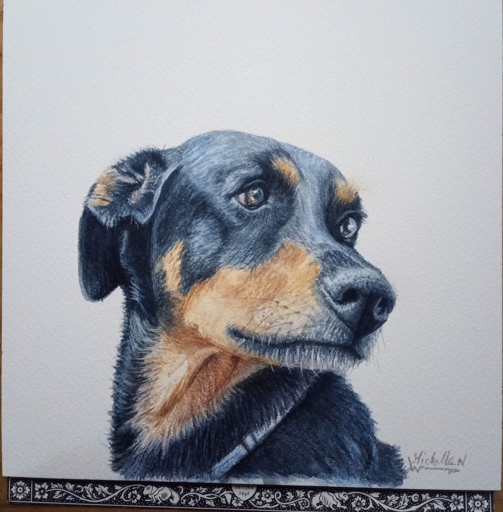 Pet Portrait artwork