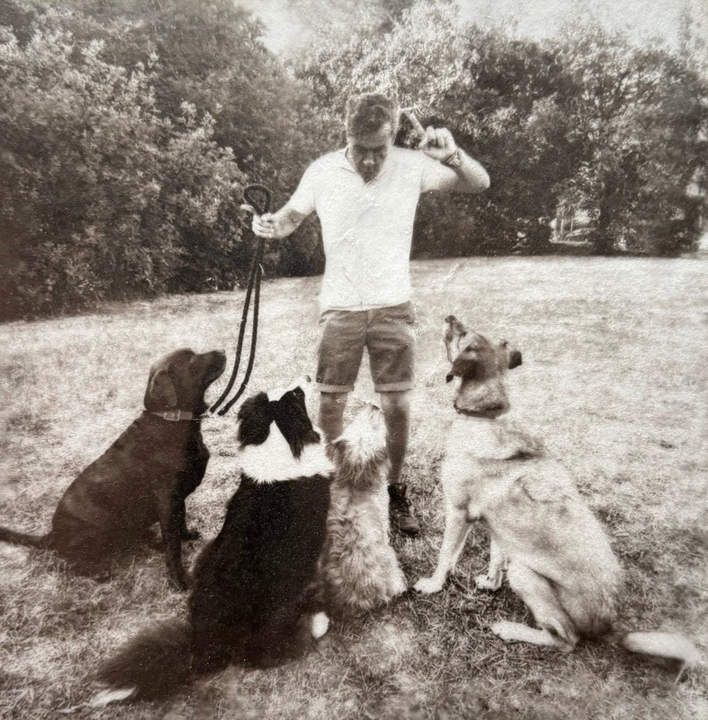 Silver and Platinum photograph a man standing in the grass with a group of dogs, pets