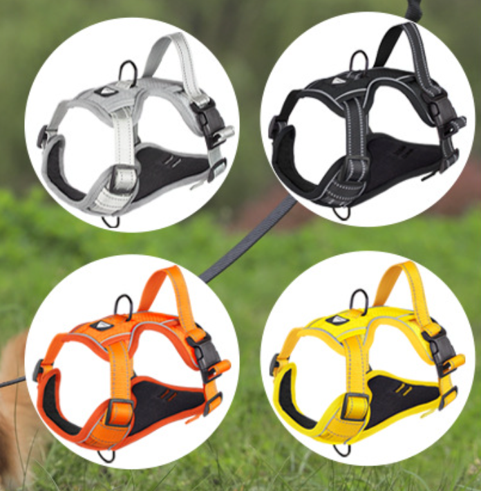 Dog Harness