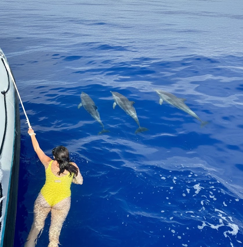 A person in a yellow swimsuit swimming in the ocean next to three dolphins near a boat.