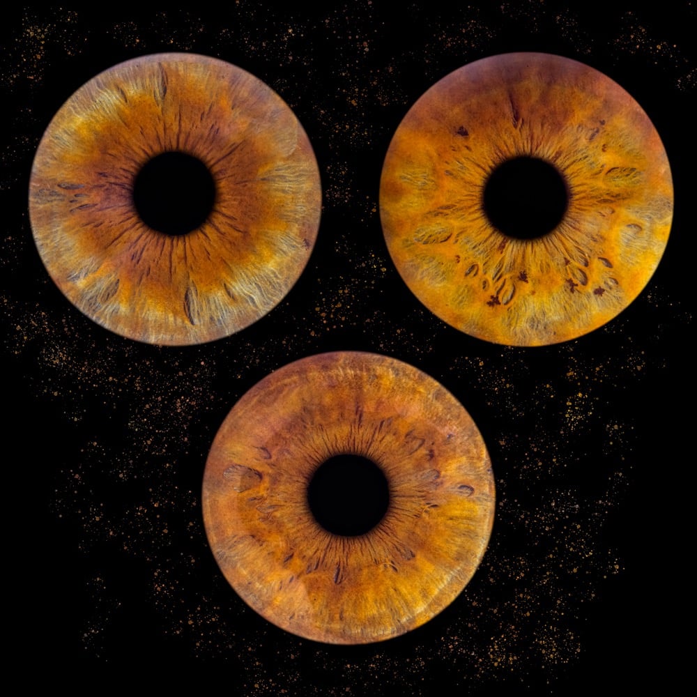 photo iris famille gironde