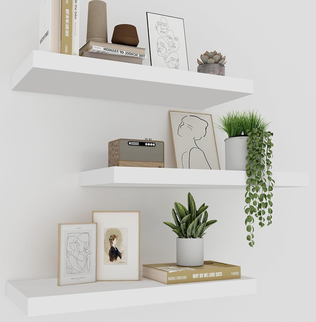 Minimalist white floating shelves decorated with books, green plants, and framed line art.