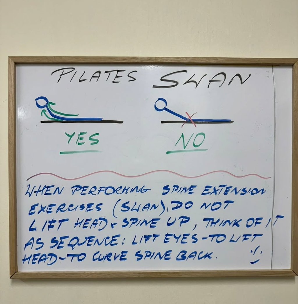 #pilates #classicalpilates #lowerbackpain #backpain #lowerbackpainrelief #pilatesinstructor #Pilates