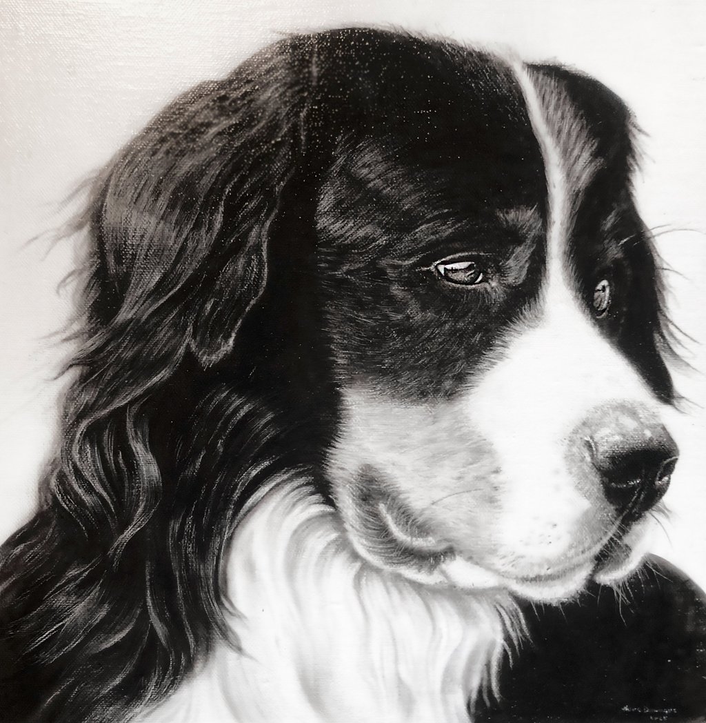 portrait sur demande !