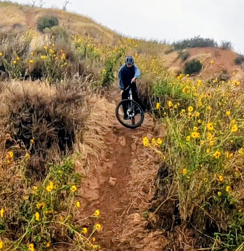 Mountain biker riding down a trail in the rain