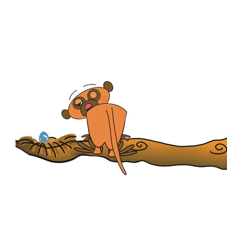 Suricata en la rama de un árbol mirando un huevo