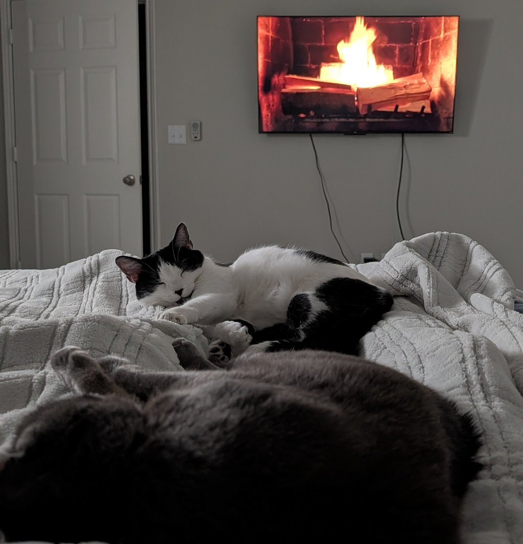 Two cats sleeping with a television showing a fireplace