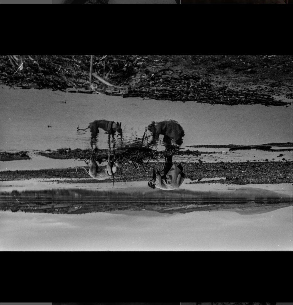 the mirage reflection of a woman and her dog contributing to a greater picture of nature together