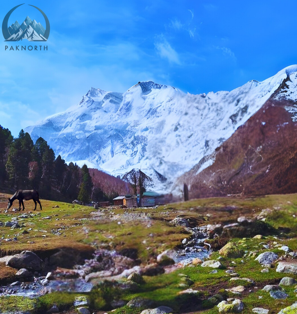 Close up picture of nanga parbat from base camp