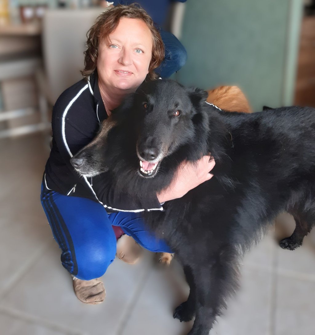 chien avec naturopathe