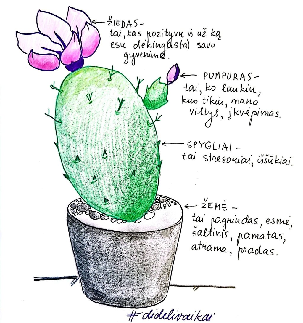 schema kaktusas savianalizė