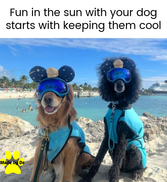 Two dogs wearing cooling vests, goggles, and ears on a sunny tropical beach to stay cool.