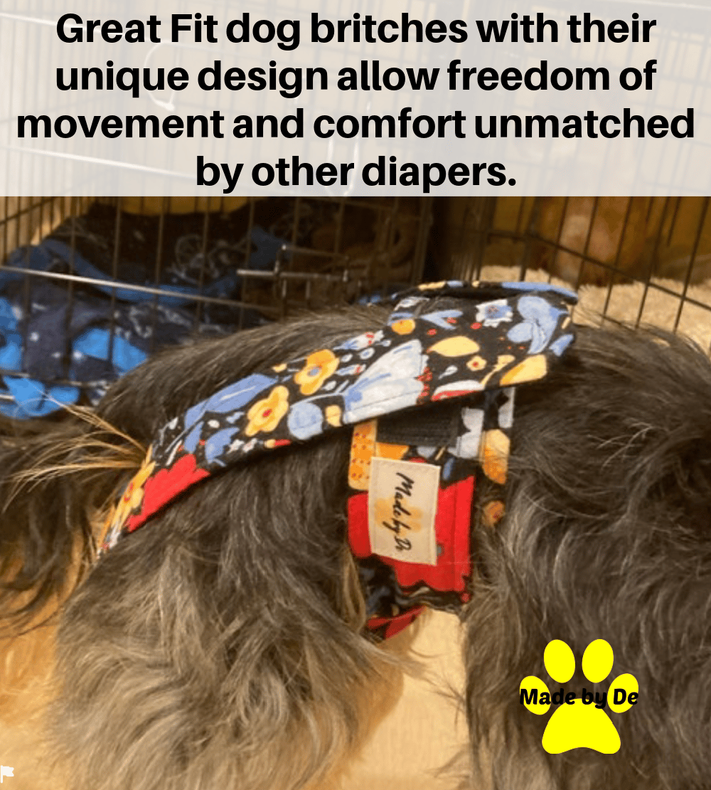 A small dog wearing floral pattern Great Fit dog britches, comfortable pet diapers by Made by De.