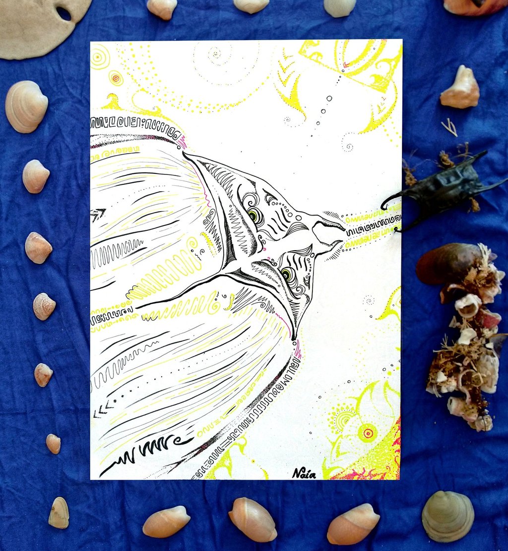 dessin de raie manta aux motifs psychédéliques au feutre fin . Cadre d'objets naturels de la mer