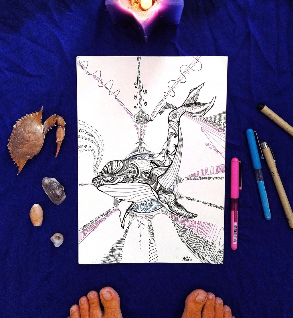 dessin de baleine aux motifs psychédéliques au feutre fin  avec un cadre fait de restes marins, feutre et bougies