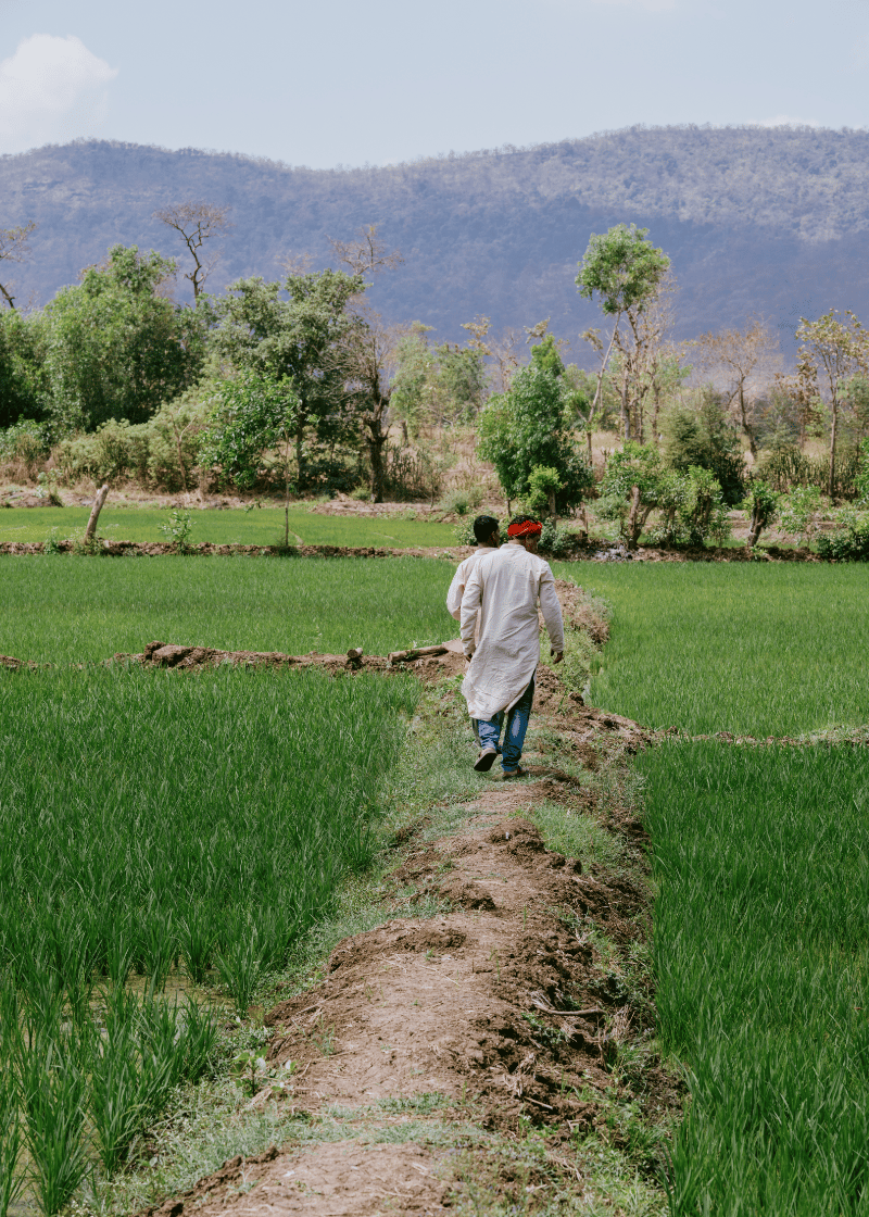 climate-resilient agriculture