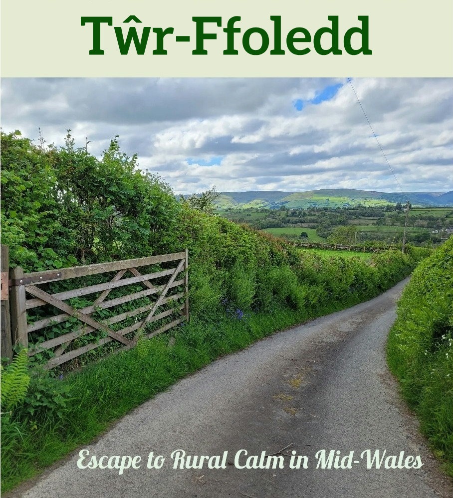 Holiday Let near Llanwrtyd Wells. Quirky and unusual.