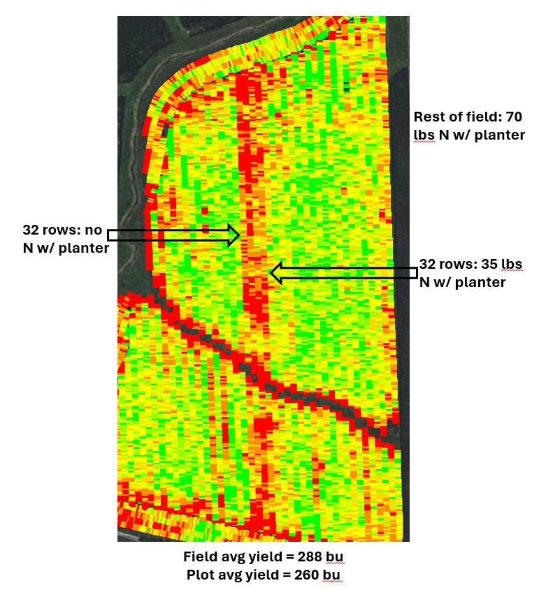 Figure 1:  Nitrogen trial - corn planted into rye