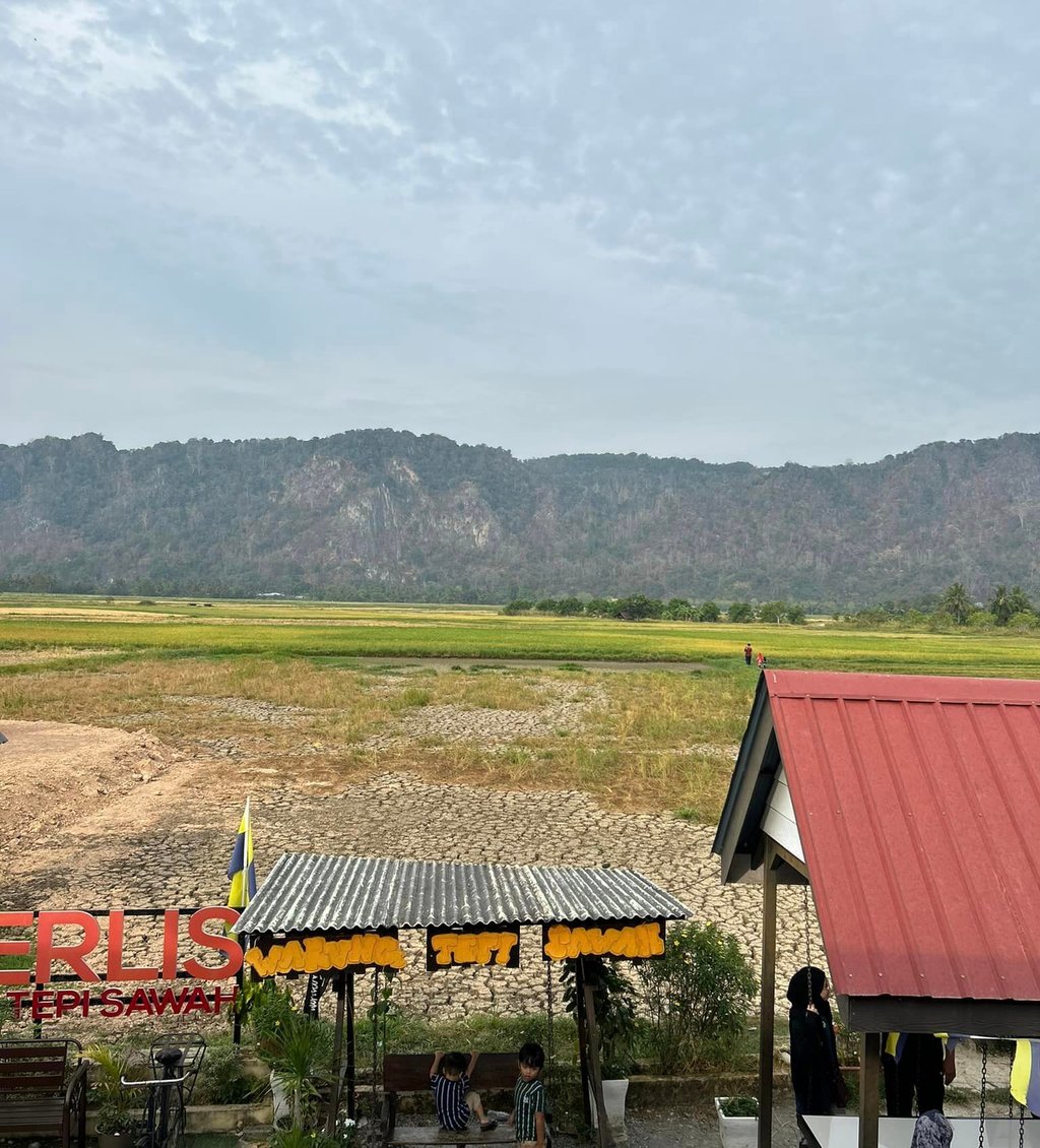 restoran tepi sawah di Perlis