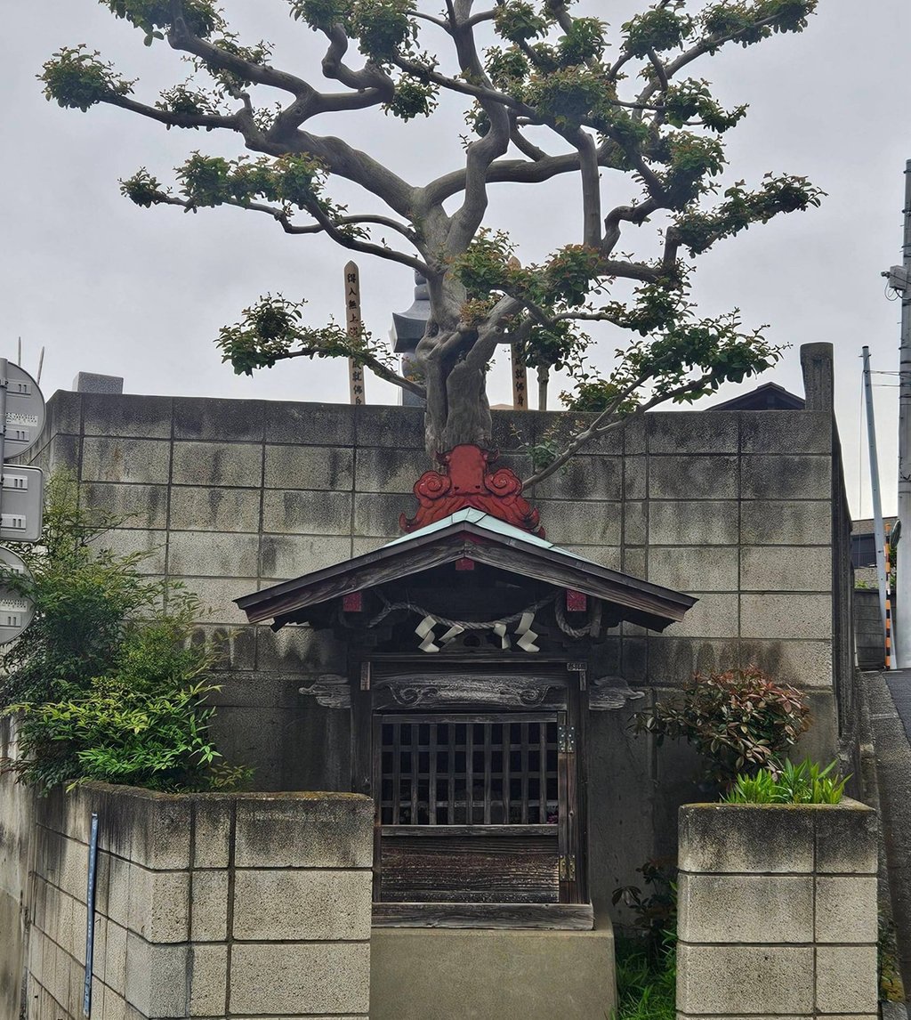 Street/Cemetary Shrine in Kamiikegami