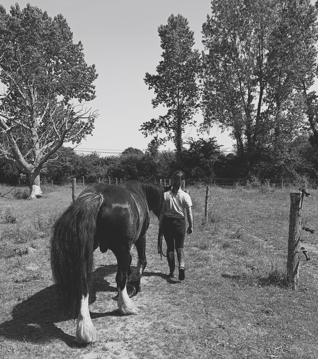équithérapeute qui marche à côté d'un cheval pour une séance d'équithérapie