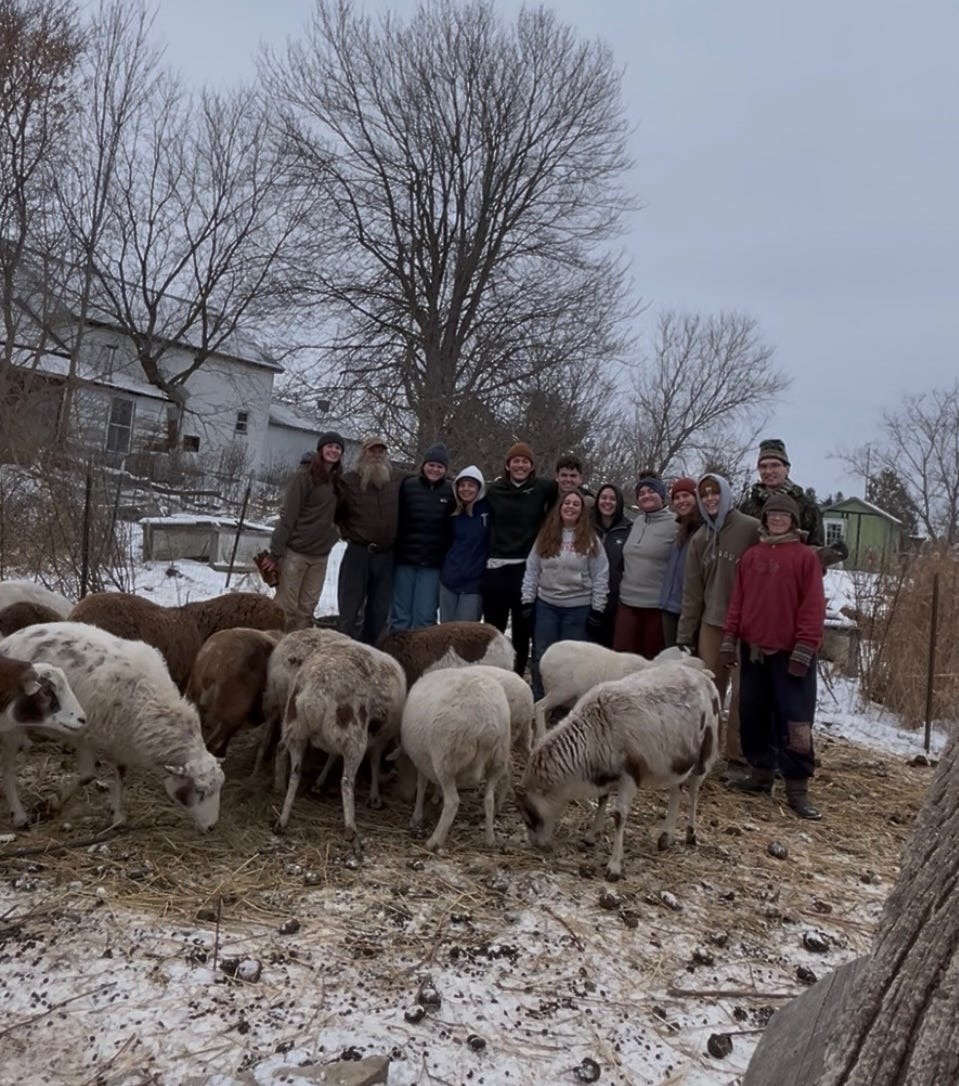A group of young people standing with a flock of sheep on a snowy farm in winter.