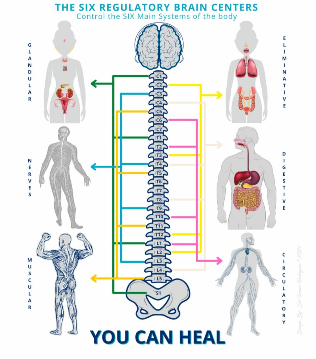 Vetrivel Health center best chiropractic and varamam theraphy 