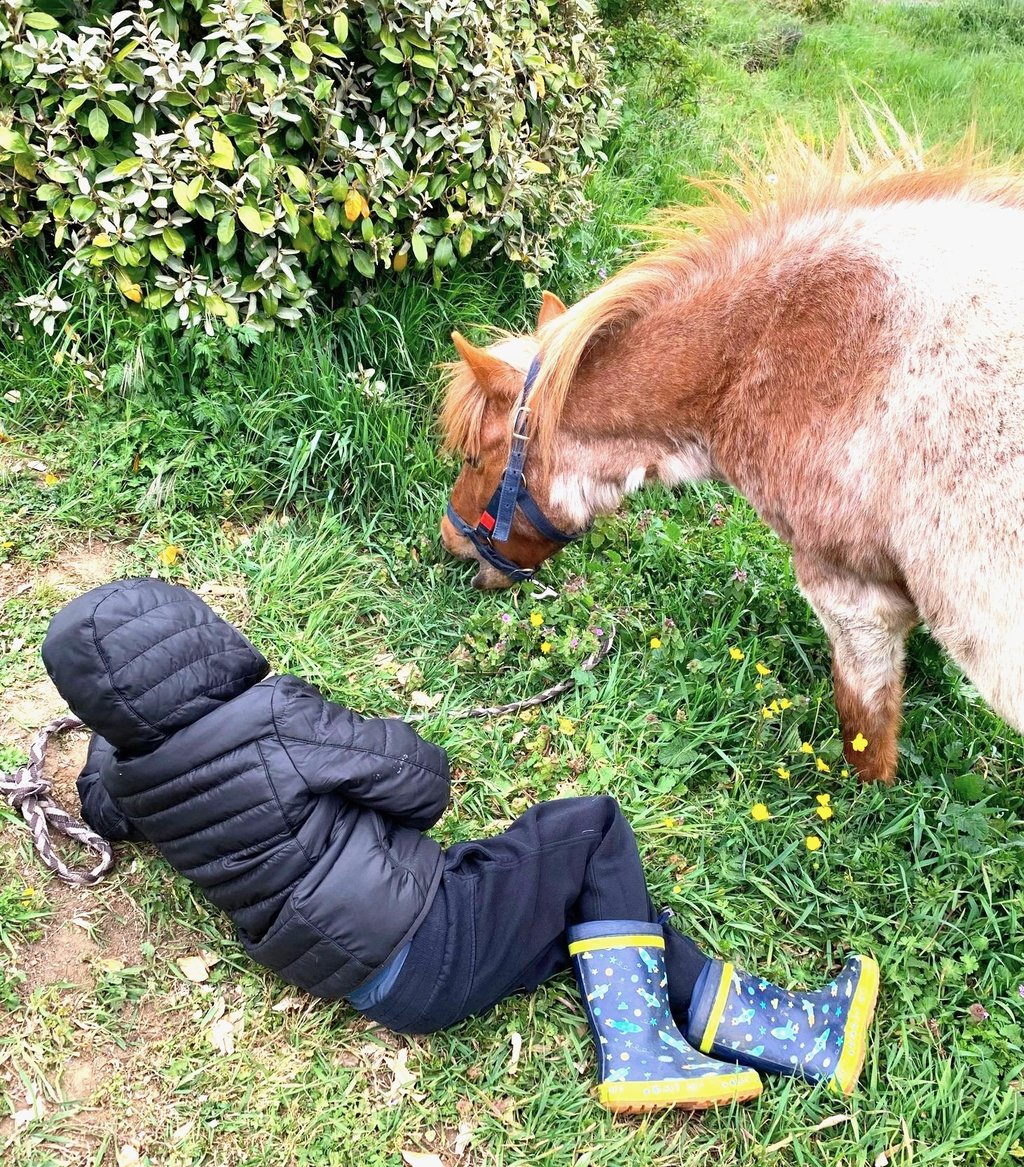 Un petit garçon allongé à côté de son poney qui broute le regarde durant une séance d'équithérapie