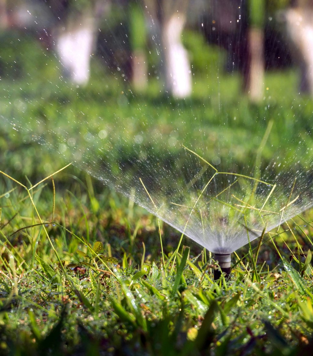 Automatic garden sprinkler spraying water on a lush green lawn during sunrise.