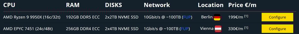 evolushost amd ryzen 9950X server
