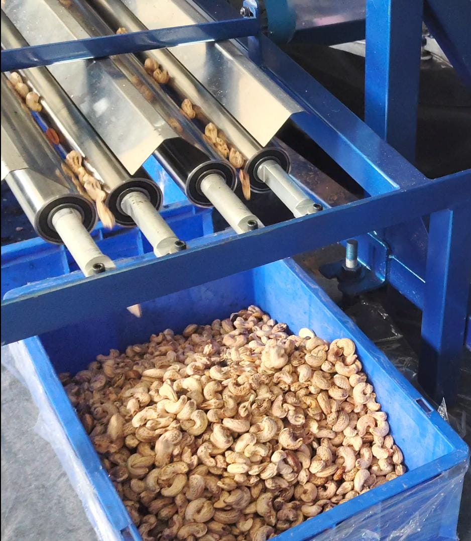 cashew kernel roller