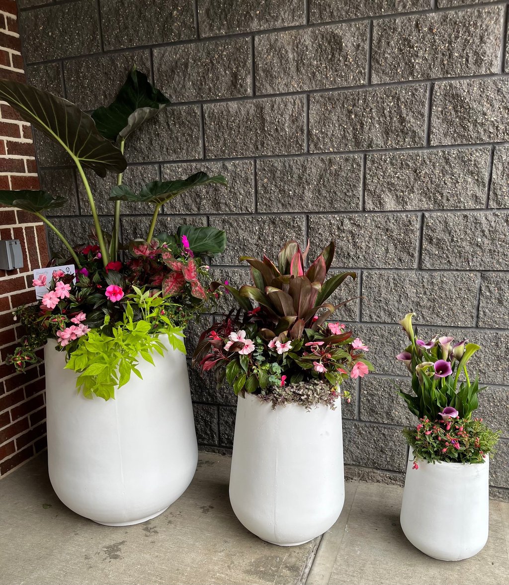 Outdoor white planters featuring tropical plants, pink flowers, and calla lilies against a grey stone wall.