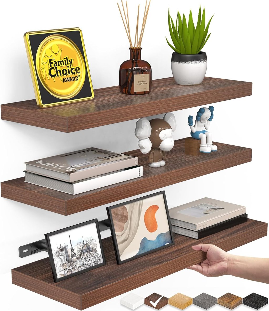 Floating wood wall shelves displaying books, a succulent, and home decor items.