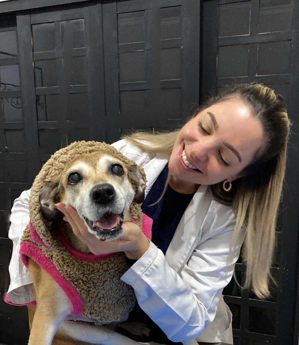 Veterinária em três lagoas